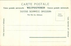 Suisse CPA Edelweiss Leontopodium alpinum