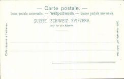 Suisse CPA Rurgenstock mit beiden Hotels