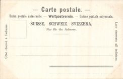 Suisse CPA Weggis Vierwaldstatter See