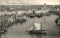 Ansicht Rochelle-CPA