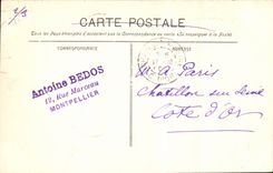 Montpellier - Les Nouveaux Jardins - CPA 