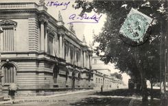 Montpellier - Le Musee - CPA 