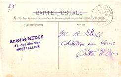 Montpellier - Le Musee - CPA 