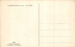 Marais Poitevin hat Arcais CPA Taillee