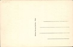 The Marsh poitevin CPA the bridge of Garette