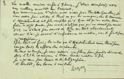 Algiers CPA Garden of test Allee of the palm trees