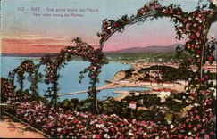 Nice CPA Seen from between the flowers