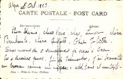 Nice CPA Allee of the old castle