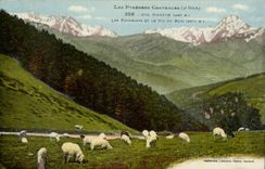 Kragen von Aspin CPA weidet und die Spitze des Sudens