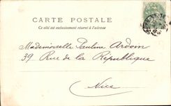 CPA Fantasy Woman Happy New Year