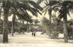 Tunisia Tunis CPA Garden Which occurred of Paris