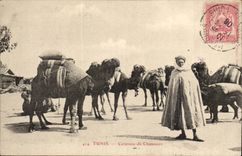 Tunisia Tunis CPA Caravan of camels (camel)