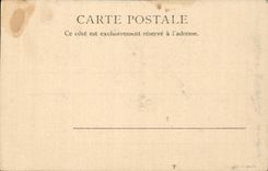 Tunisia Tunis CPA Old Entering of Bardo (camels camel)