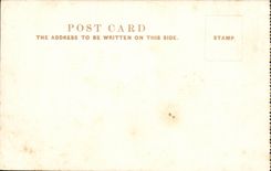 The United Kingdom CPA London London Museum off Natural History South kensington