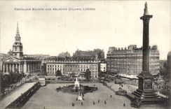 The United Kingdom London london CPA Trafalgar Public garden and Nelson' S column