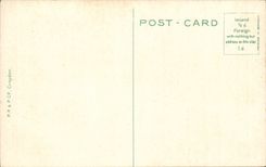 The United Kingdom London london CPA Nelson' S column and Trafalgar public garden