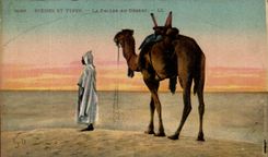 Algeria Scenes and standard CPA the prayer with the desert (camel dromedary camel)