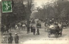 Paris CPA Le bois de Boulogne Les acacias