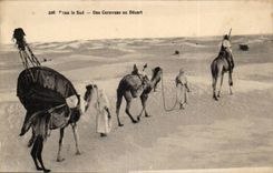 CPA In the south a caravan in the desert (camel camel)