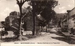 Informer CPA Road of alpine laburnum and the vineyard