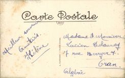 Chenonceau CPA Le chateau Vue de la grande allee