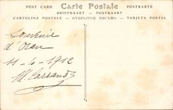 Algeria Oran CPA Palm trees