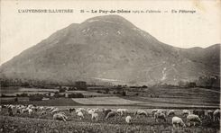 Auvergne CPA Puy de Dome a pasture (sheep)