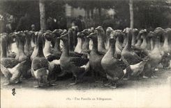 CPA a family in holiday (breeding geese)