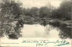 Fontainebleau - the Pond with the Fairies - CPA