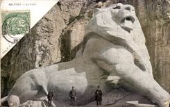 Belfort CPA the lion