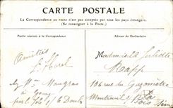 Belfort CPA the lion