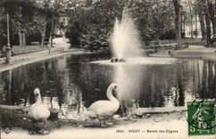 Vichy CPA Basin of the swans (swan)