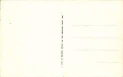 Paris CPA Arc de triomphe du carrousel