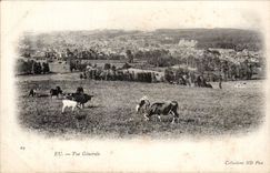 Have CPA View (cows)