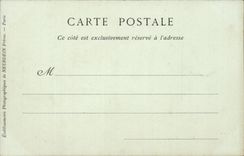 Have CPA View (cows)