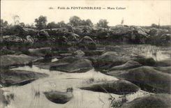 CPA Drill of Fontainebleau Colinet Pond