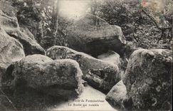 Drill of Fontainebleau cPA the rock which trembles