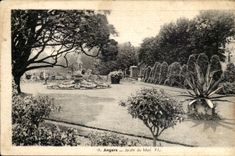 Angers CPA Garden of the Email