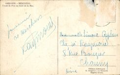 Meschers CPA Details of pines at the seaside