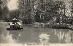 Pougues Water CPA the swan (swan)