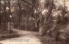 La Baule-Kiefern - mit dem Dryades Park - die Allee - CPA