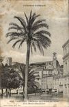 Cannes CPA Palm tree of the town hall and the Mount Knight