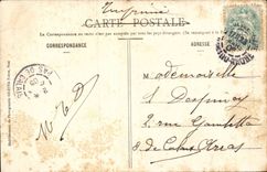 Cannes CPA Palm tree of the town hall and the Mount Knight