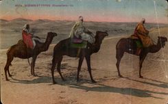 Szenen Algerien-CPA und Standardkamelfahrer (Kamelkamel)