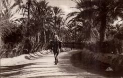 Szenen Algerien-CPA und Standardstrasse in der Oase