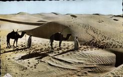 Szenen Algerien-CPA und Standarddurchgang des Dunesandes zur Sonne