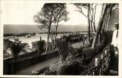 Algeria Oran CPA Seen on the port of the walk of the pond