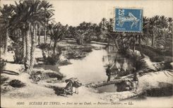 Szenen Algerien-CPA und Standardbrucke auf Wadi Palmen - Datumpalmen (Eselsesel)