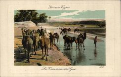 Algeria CPA Scenes and standards the crossing of the ford (camel camels)