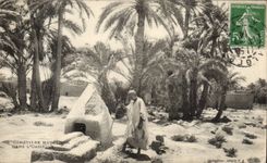Algeria CPA Scenes and standard Moslem Cemetery in the oasis